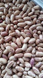 White, Red, Black, Cranberry Beans