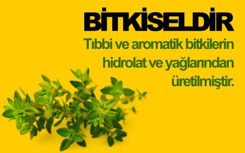 Andelip