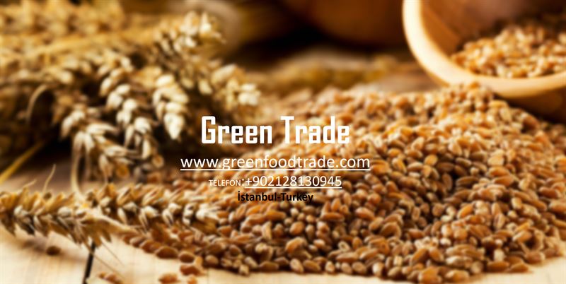 GreenFoodTrade