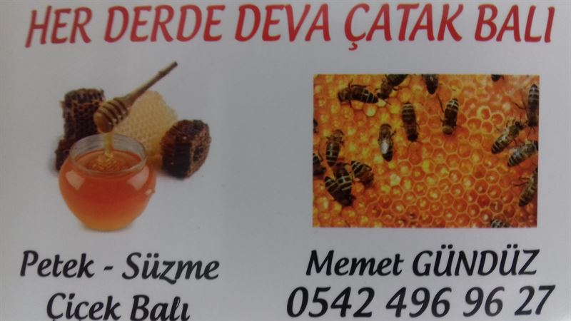 GÜNDÜZ BALCILIK