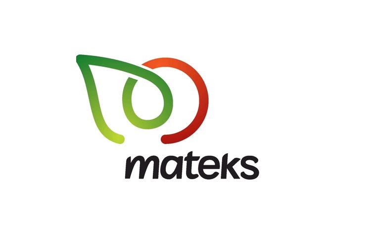 Mateks Food Industry Inc.