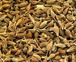 Aniseed