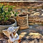 Biore Organic Vermicompost