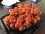 CRAYFISH