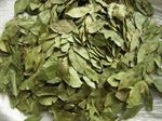 DEFNE YAPRAĞI / LAUREL LEAVES / BAY LEAF