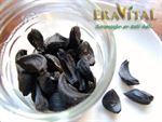 Eravital Black Garlic