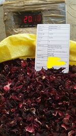 Hibiscus
