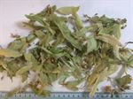 Linden leaves and flowers