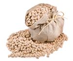 Chickpea