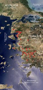North Aegean Extra Virgin Olive Oil