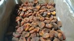 organic dried apricots