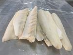 PIKE PERCH (Zander)