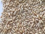 PINE NUT KERNELS / ÇAM FISTIĞI