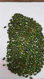 Pistachio Kernel(Peeled or Nonpeeled)