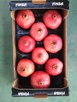 Pomegrante