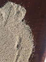 POPPY SEEDS / HAŞHAŞ