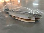 RAINBOW TROUT - 200 - 350gr