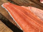 Rainbow Trout