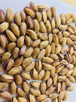 Raw Pistachio (inshell)