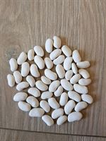 white beans