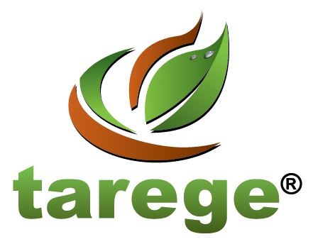TAREGE TİCARET EVİ / HARİKA ELDEN